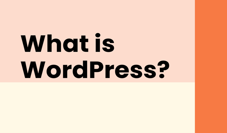 What Are WordPress Websites Used For