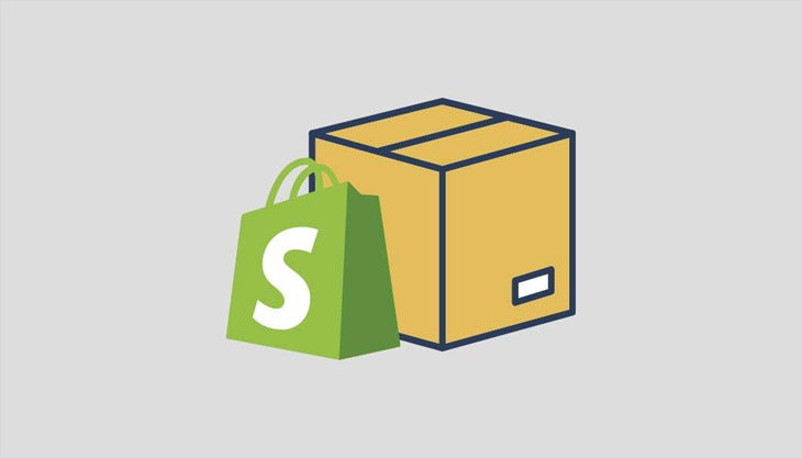 Best Shopify Dropshipping Course