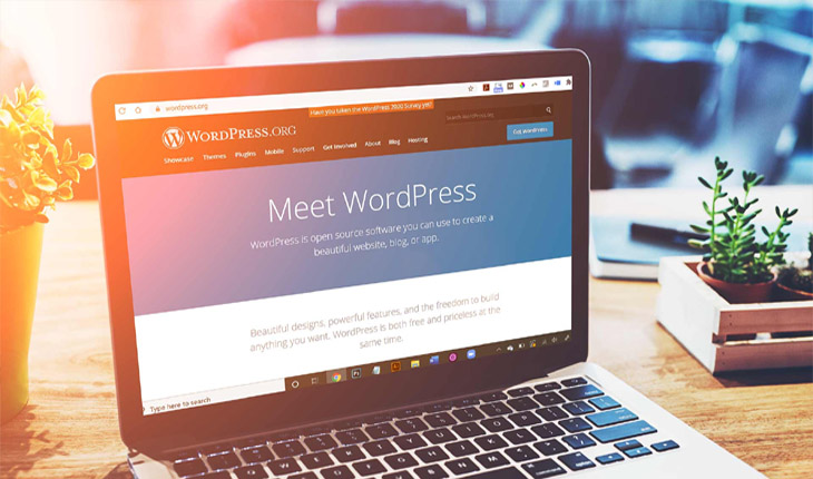 What is WordPress in a Website