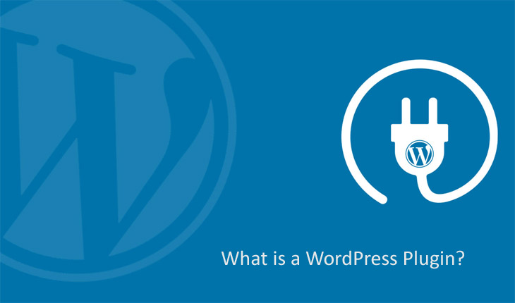 What is a WordPress Plugin