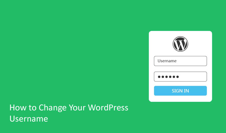 How to Change Your WordPress Username