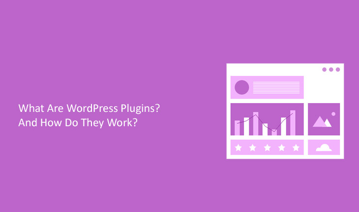 What Are WordPress Plugins