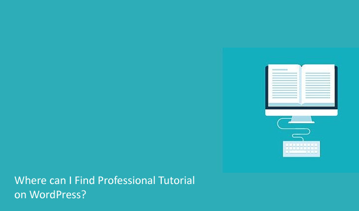 Where can I Find Professional Tutorial on WordPress