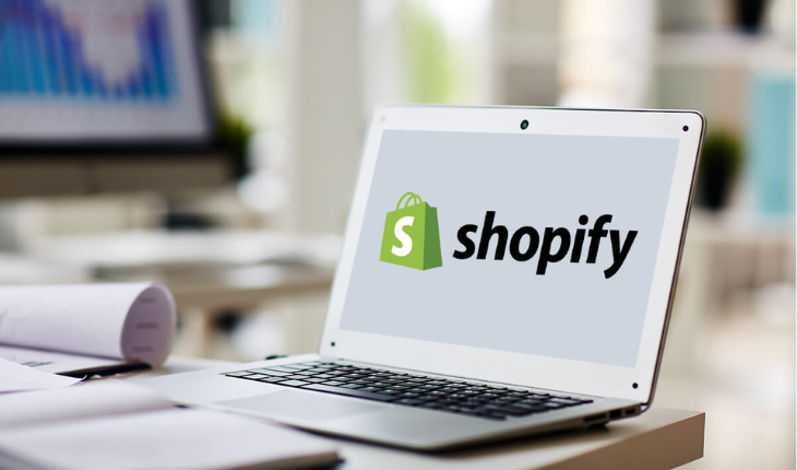 The Ultimate Shopify Dropshipping Facebook ads Course​