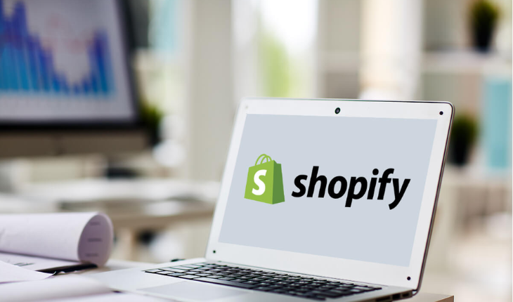 Shopify​ course